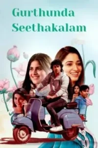 Gurthunda Seethakalam 2022 Hindi + Telugu South Movie HDHub4u