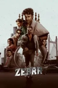Zebra 2025 Hindi + Telugu South Movie HDHub4u